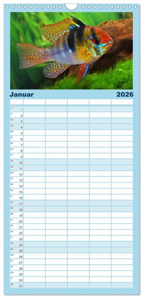 Produktbild: Familienplaner 2026 - Beliebte Fische der Welt mit 5 Spalten (Wandkalender, 21 x 45 cm) CALVENDO