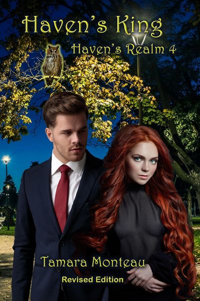 Produktbild: Haven's King (Haven's Realm, #4)