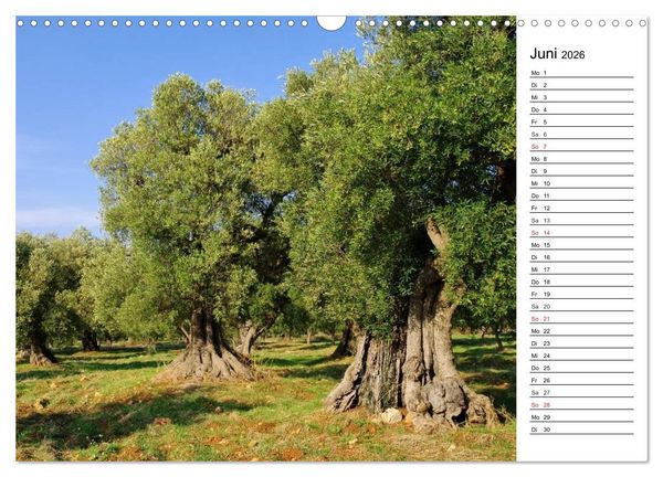 Produktbild: Apulien (Wandkalender 2026 DIN A3 quer), CALVENDO Monatskalender