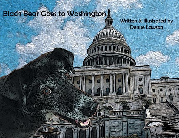 Produktbild: Black Bear Goes to Washington