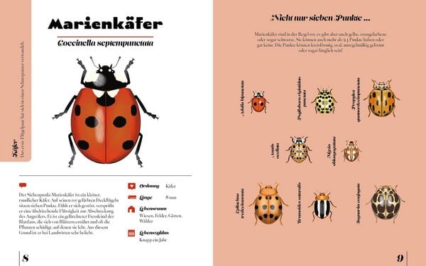 Produktbild: Insekten & Krabbeltiere