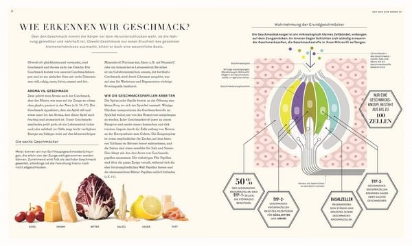 Produktbild: So funktioniert Geschmack