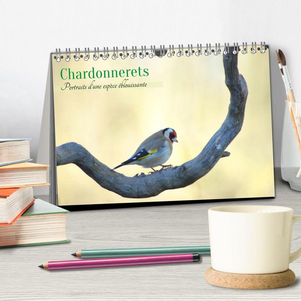 Produktbild: Chardonnerets - Portraits d'une esp&egrave;ce &eacute;blouissante (Calendrier de bureau 2026 DIN A5 vertical), CALVENDO calendrier mensuel