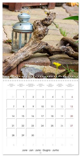 Produktbild: Harriette`s sweet garden (Wall Calendar 2027 12 &times; 12 Inch) CALVENDO 12 Month Wall Calendar
