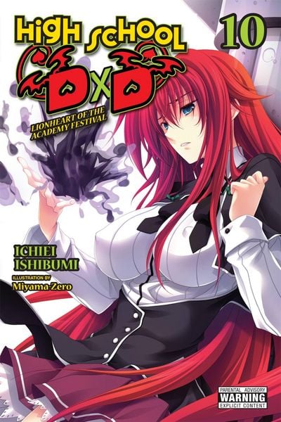 Produktbild: High School DxD, Vol. 10 (light novel)