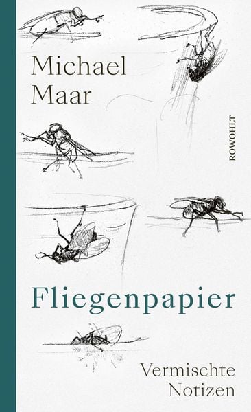 Produktbild: Fliegenpapier