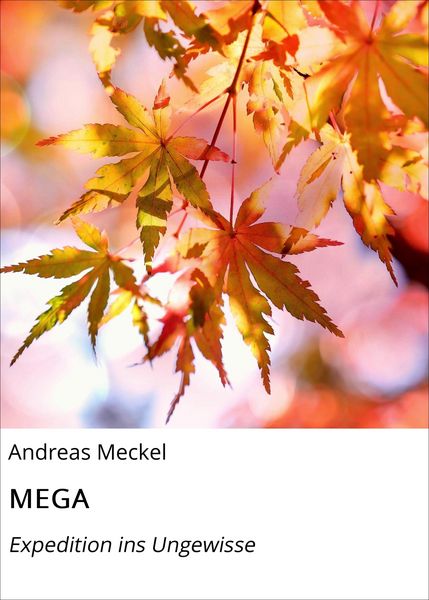 Produktbild: MEGA