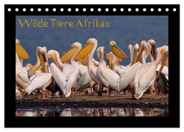 Produktbild: Wilde Tiere Afrikas (Tischkalender 2026 DIN A5 quer), CALVENDO Monatskalender