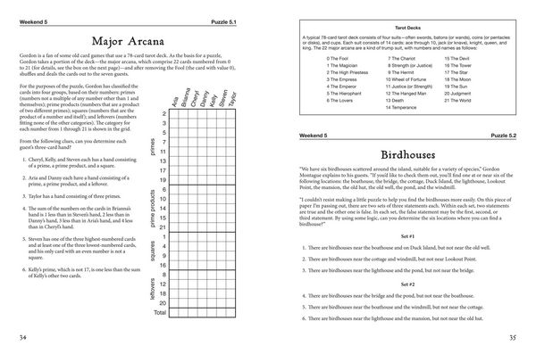 Produktbild: Beyond Montague Island: Even More Mysteries and Logic Puzzles