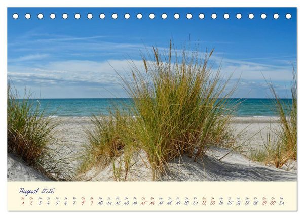 Produktbild: OSTSEEGL&Uuml;CK - Gl&uuml;cksmomente auf dem Dar&szlig; (Tischkalender 2026 DIN A5 quer), CALVENDO Monatskalender