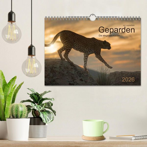 Produktbild: Geparden. Die eleganten Katzen. (Wandkalender 2026 DIN A4 quer), CALVENDO Monatskalender