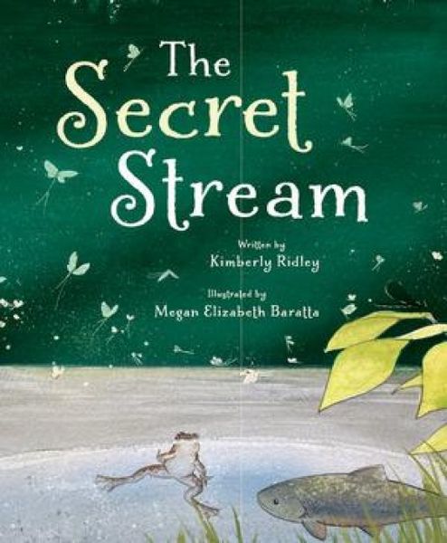Produktbild: The Secret Stream