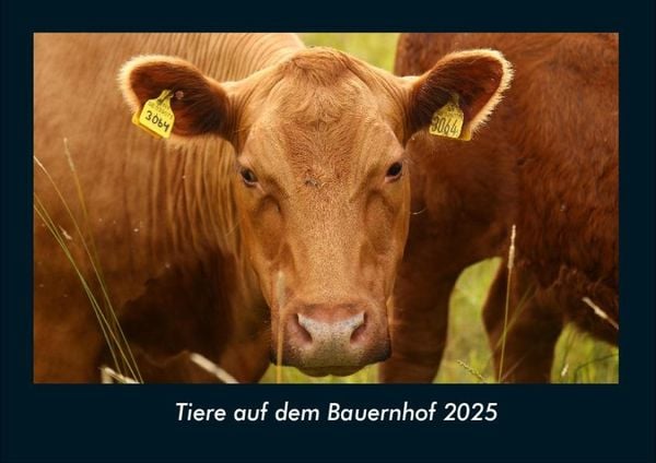 Produktbild: Tiere auf dem Bauernhof 2025 Fotokalender DIN A4