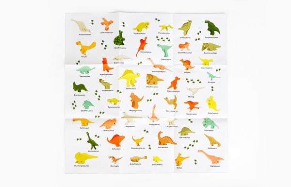 Produktbild: 49 Dinos und 1 Asteroid