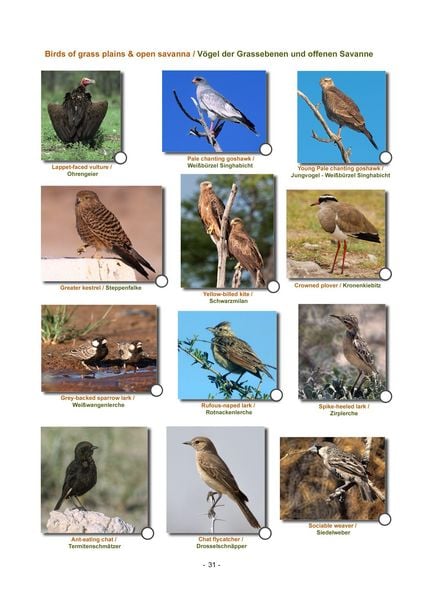 Produktbild: ETOSHA KARTE mit Fotogalerie