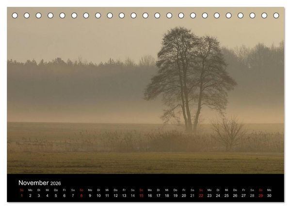 Produktbild: B&auml;ume (Tischkalender 2026 DIN A5 quer), CALVENDO Monatskalender
