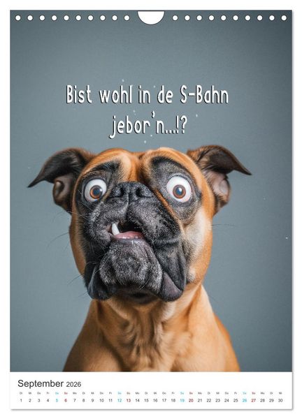 Produktbild: Lustige Tiere (Wandkalender 2026 DIN A4 hoch), CALVENDO Monatskalender