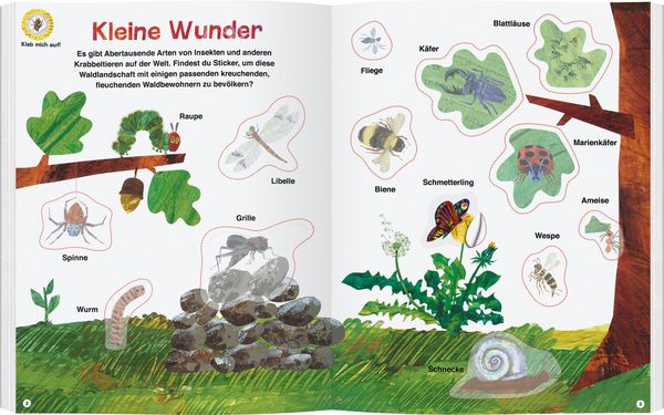 Produktbild: Die kleine Raupe Nimmersatt - Mein Buch der Krabbeltiere