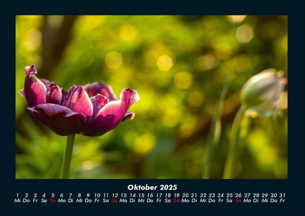 Produktbild: Naturlandschaften 2025 Fotokalender DIN A4