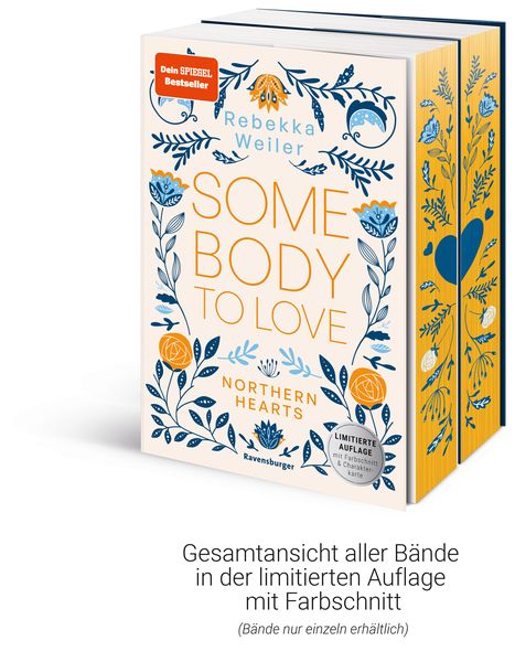 Produktbild: Northern-Hearts-Reihe, Band 2 - Somebody to Hold.