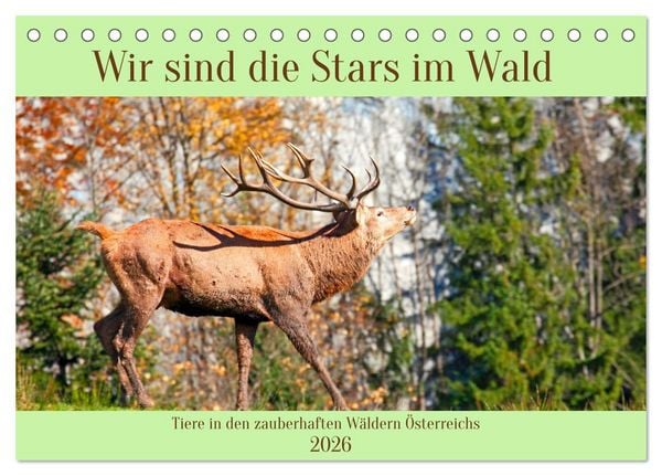 Produktbild: Wir sind die Stars im Wald (Tischkalender 2026 DIN A5 quer), CALVENDO Monatskalender