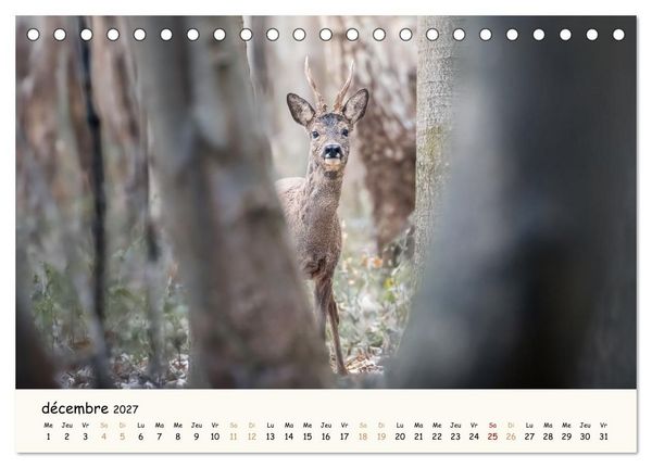 Produktbild: Les murmures de la for&ecirc;t - Regards d'animaux (Calendrier de bureau 2027 DIN A5 vertical), CALVENDO calendrier mensuel