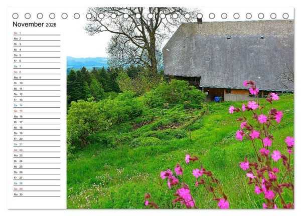 Produktbild: Landleben (Tischkalender 2026 DIN A5 quer), CALVENDO Monatskalender