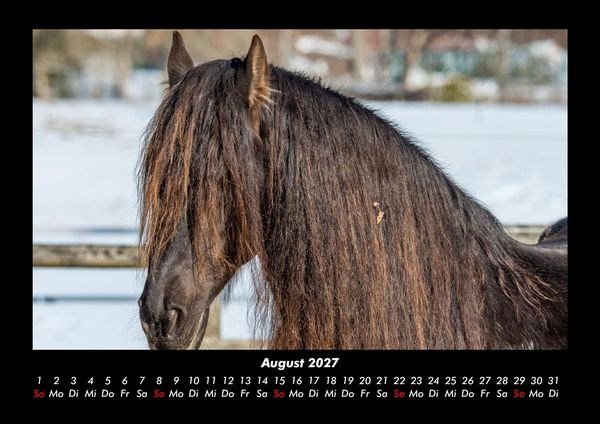 Produktbild: Pferdegefl&uuml;ster 2027 Fotokalender DIN A3