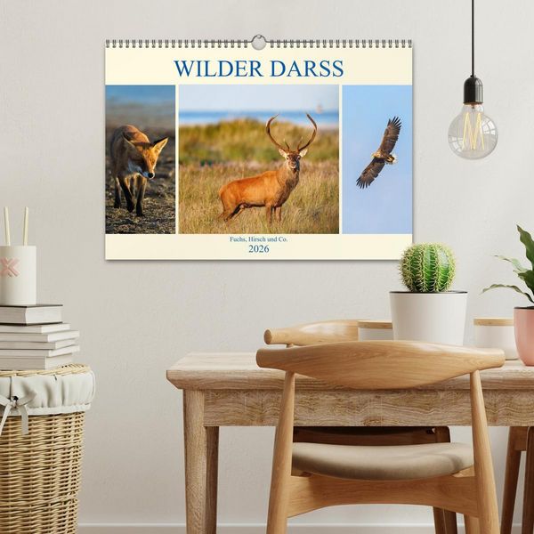 Produktbild: Wilder Dar&szlig; - Fuchs, Hirsch und Co. 2026 (Wandkalender 2026 DIN A3 quer), CALVENDO Monatskalender