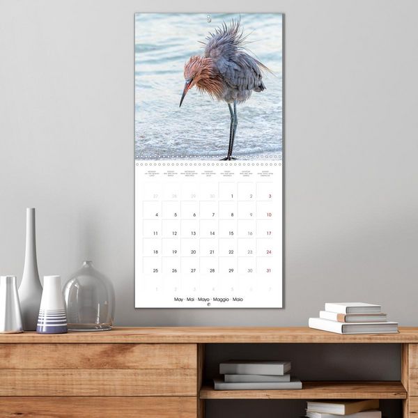 Produktbild: The beauty of herons and egrets (Wall Calendar 2026 12 &times; 12 Inch) CALVENDO 12 Month Wall Calendar