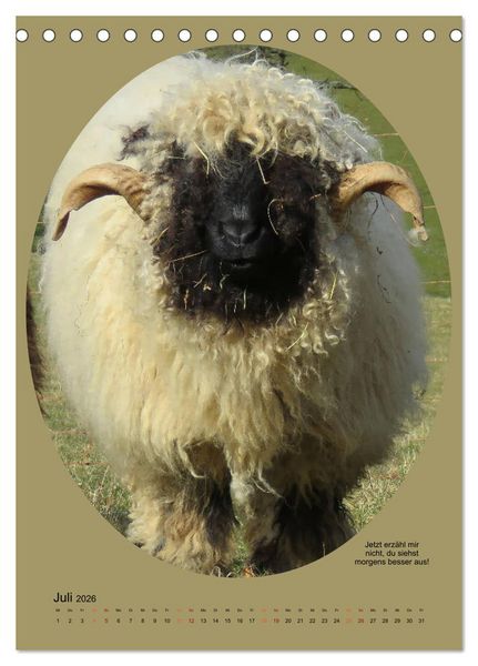 Produktbild: Scharfe Portraits (Tischkalender 2026 DIN A5 hoch), CALVENDO Monatskalender