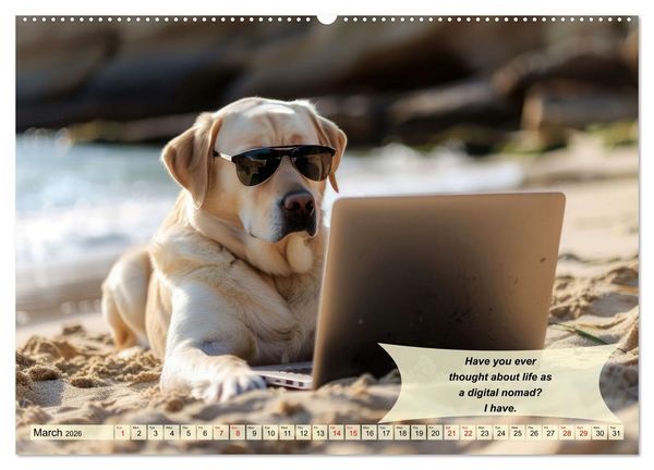 Produktbild: Great fun for Labrador lovers (Wall Calendar 2026 DIN A2 landscape), CALVENDO 12 Month Wall Calendar
