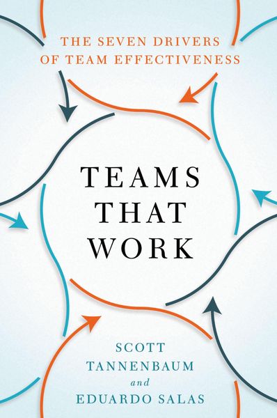 Produktbild: Teams That Work