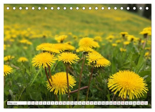 Produktbild: Engadine 2026 - Nature and landscapes (Desk Calendar 2026 DIN A5 landscape), CALVENDO 12 Month DeskCalendar