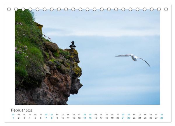 Produktbild: PAPAGEIENTAUCHER - Clowns der Nordmeere (Tischkalender 2026 DIN A5 quer), CALVENDO Monatskalender