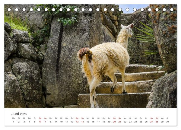Produktbild: Macchu Picchu (Tischkalender 2026 DIN A5 quer), CALVENDO Monatskalender