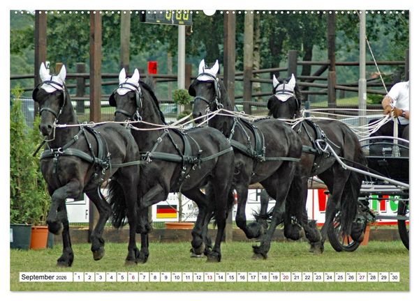 Produktbild: Viersp&auml;nner Herausforderung Fahrsport (Wandkalender 2026 DIN A2 quer), CALVENDO Monatskalender