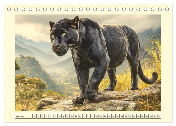 Produktbild: Schwarze Panther. Geheimnisvolle Schatten der Wildnis (Tischkalender 2026 DIN A5 quer), CALVENDO Monatskalender