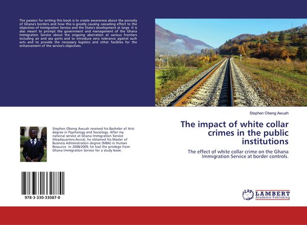 Produktbild: The impact of white collar crimes in the public institutions