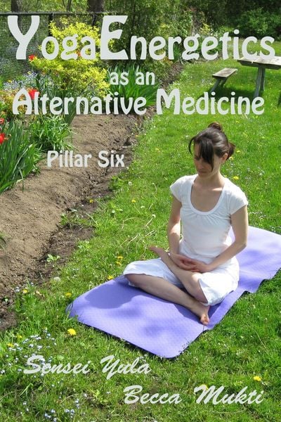 Produktbild: Yoga Energetics as an Alternative Medicine: Pillar Six