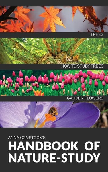 Produktbild: The Handbook Of Nature Study in Color - Trees and Garden Flowers