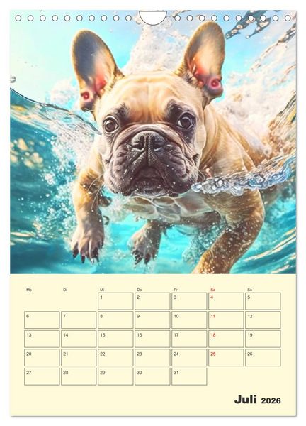 Produktbild: Lustige Flederm&auml;use. Franz&ouml;sische Bulldoggen bei der Freizeitgestaltung (Wandkalender 2026 DIN A4 hoch), CALVENDO Monatskalender