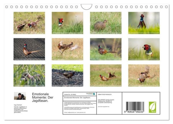 Produktbild: Emotionale Momente: Der Jagdfasan. (Wandkalender 2026 DIN A4 quer), CALVENDO Monatskalender