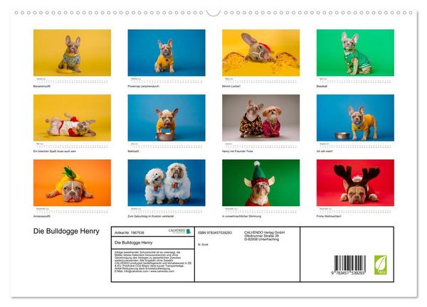 Produktbild: Die Bulldogge Henry (hochwertiger Premium Wandkalender 2026 DIN A2 quer), Kunstdruck in Hochglanz