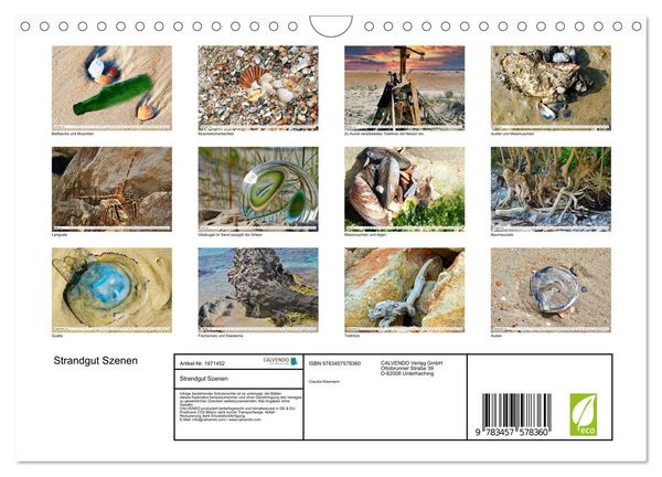 Produktbild: Strandgut Szenen (Wandkalender 2026 DIN A4 quer), CALVENDO Monatskalender