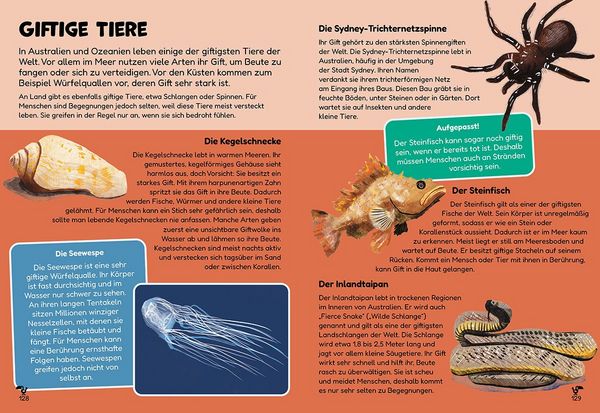 Produktbild: Der Kinder Pocket Weltatlas