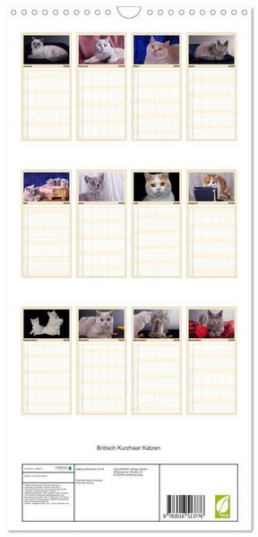 Produktbild: Familienplaner 2026 - Britisch Kurzhaar Katzen mit 5 Spalten (Wandkalender, 21 x 45 cm) CALVENDO