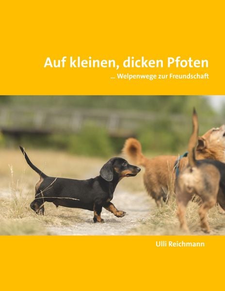 Produktbild: Auf kleinen, dicken Pfoten