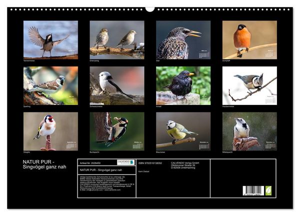 Produktbild: NATUR PUR - Singv&ouml;gel ganz nah (Wandkalender 2026 DIN A2 quer), CALVENDO Monatskalender