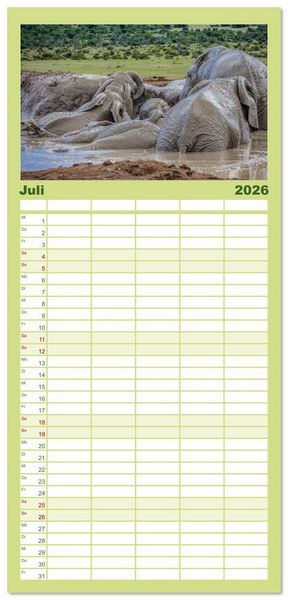 Produktbild: Familienplaner 2026 - Elefanten Begegnungen im &ouml;stlichen und s&uuml;dlichen Afrika mit 5 Spalten (Wandkalender, 21 x 45 cm) CALVENDO